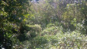 Área verde de terreno en Los Planes de Renderos, zona turística