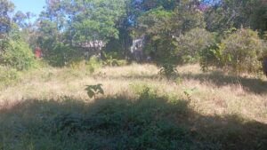 Área verde de terreno en Los Planes de Renderos, zona turística